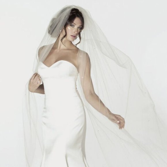 Veil | Ariel Jennifer Taub | 1707 - Picture 1 of 1